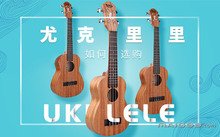 本站按公开材料组织页面