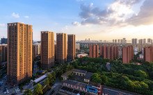 对照阅读