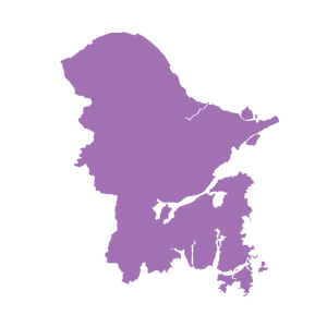 避免被站外镜像带偏