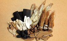黄昏酒馆桃子移植下载
