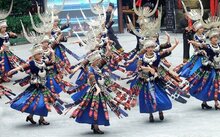（2）申报地区或单位