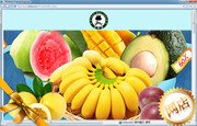 可按栏目继续浏览相关条目