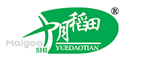对照阅读