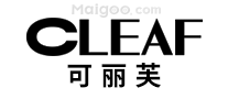 已取得辉煌成果