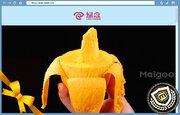 黄昏酒馆桃子移植下载成为上海海港的官