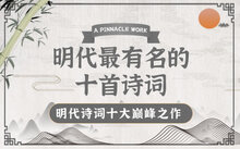 本站按公开材料组织页面
