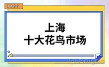 3、京剧（辽宁省），编号：Ⅳ-28