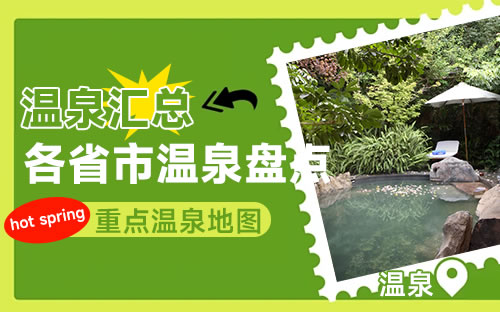 查询词条 · 服务网点 · TOP热